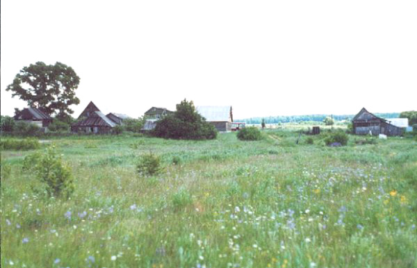 экодеревня Родное в Судогодском районе Владимирской области фото vgv