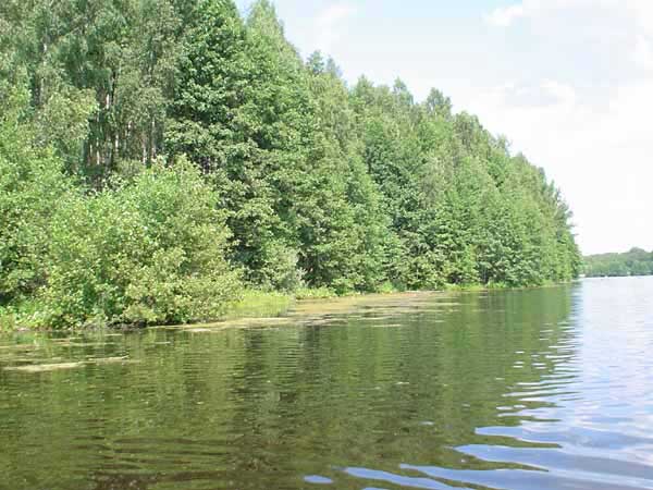 озеро в окресностях деревни Коняево в Судогодском районе Владимирской области фото vgv