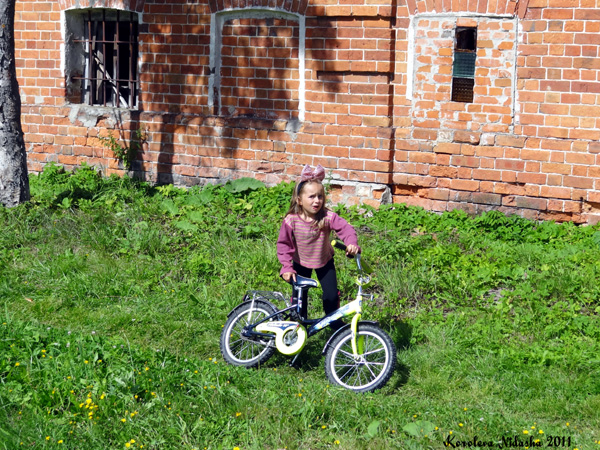 Маленькая жительница д. Кострово в Судогодском районе Владимирской области фото vgv
