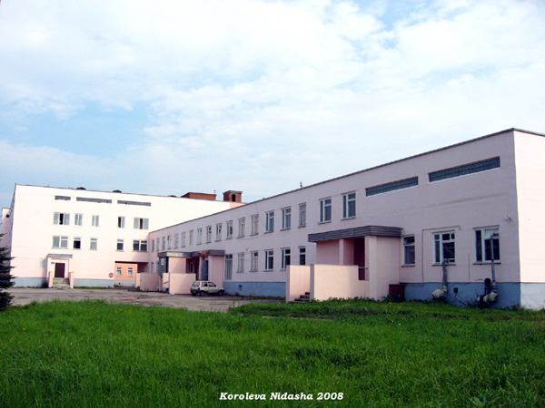 родильное отделение Суздальской больницы в Суздальском районе Владимирской области фото vgv