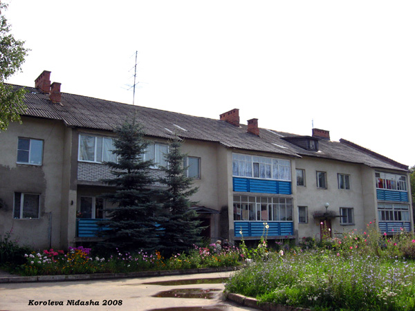 город Суздаль Гоголя улица 5 в Суздальском районе Владимирской области фото vgv