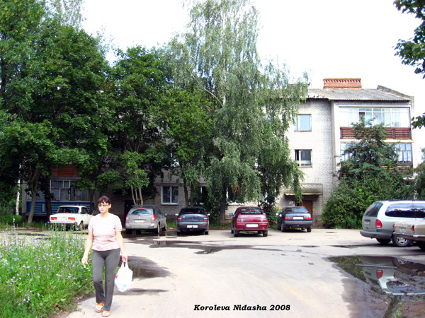 город Суздаль Гоголя улица 27 в Суздальском районе Владимирской области фото vgv