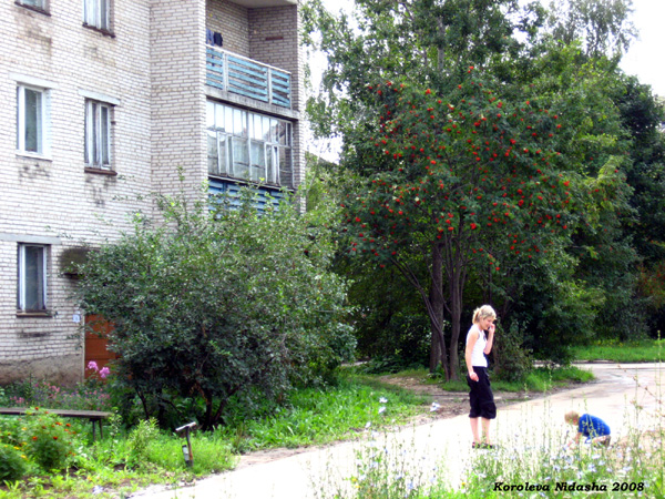 Мелом расчерчен асфальт на квадратики август 2008 г. в Суздальском районе Владимирской области фото vgv