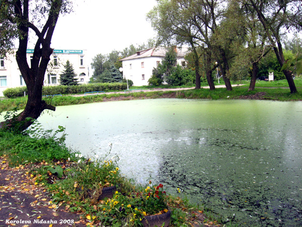 пруд у Сбербанка в Суздальском районе Владимирской области фото vgv