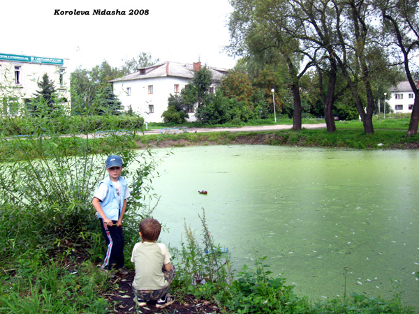 пруд у Сбербанка в Суздальском районе Владимирской области фото vgv