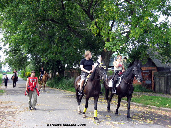 По улице коней водили , собачки следом там бродили (август 2008г.) в Суздальском районе Владимирской области фото vgv