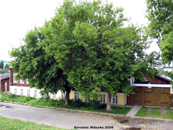 город Суздаль Варганова улица 2 в Суздальском районе Владимирской области фото vgv