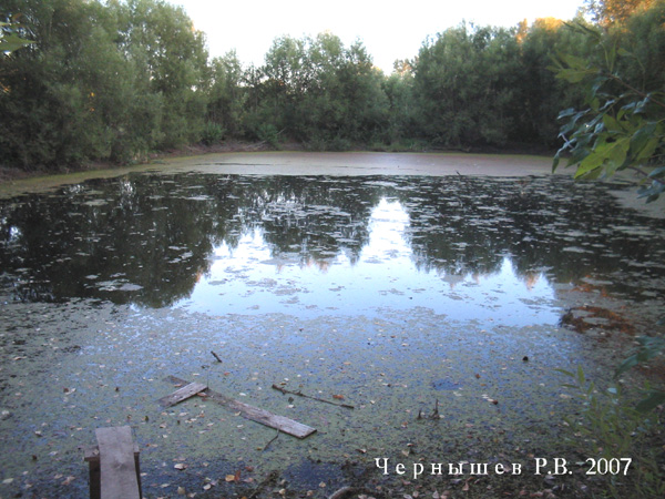 Большой пруд у Покровского монастыря в Суздальском районе Владимирской области фото vgv