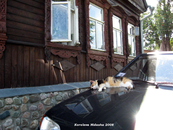 Хозяйка дома отдыхает в Суздальском районе Владимирской области фото vgv