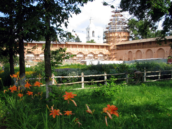 Аптекарский огород Спасо-Евфимиева монастыря в Суздальском районе Владимирской области фото vgv