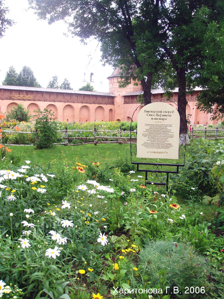 Аптекарский огород Спасо-Евфимиева монастыря в Суздальском районе Владимирской области фото vgv