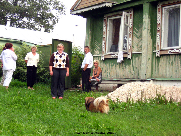 на фоне дома своего на Суздальской 43 в Сельце в Суздальском районе Владимирской области фото vgv
