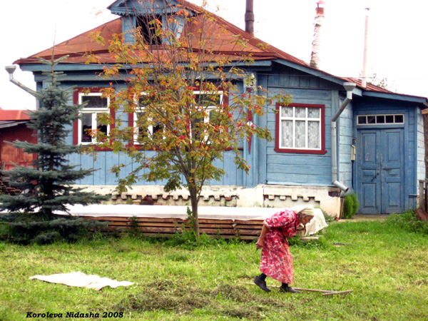 Покой бабуле только сниться в Суздальском районе Владимирской области фото vgv