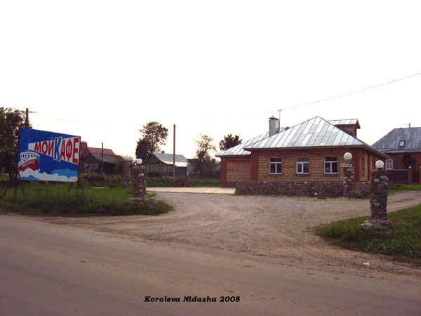 Улица село Сельцо Центральная 68 в Суздальском районе Владимирской области фото vgv