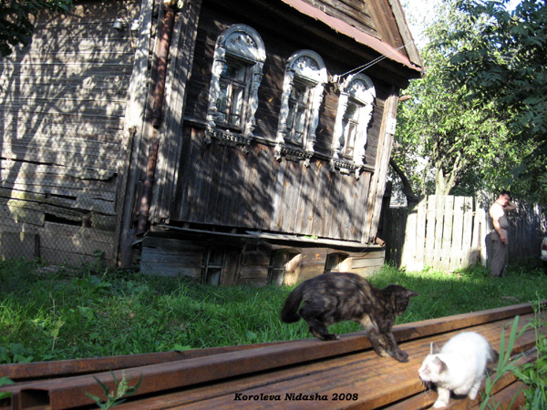 у своего дома со своими кошками в Суздальском районе Владимирской области фото vgv