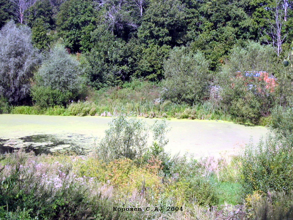 Боголюбовский пруд в Суздальском районе Владимирской области фото vgv