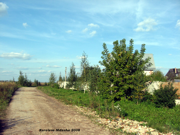поселок Боголюбово Полевая улица в Суздальском районе Владимирской области фото vgv