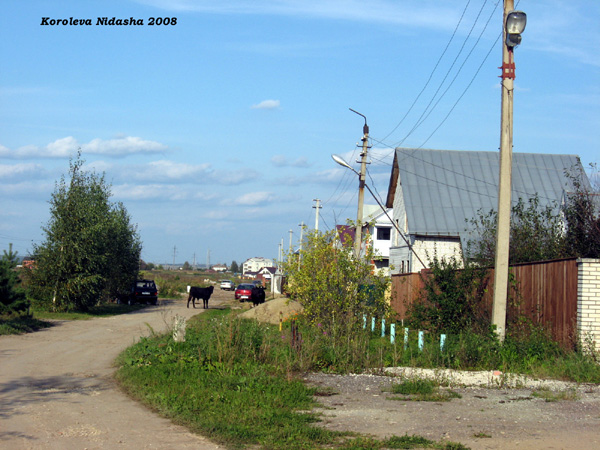 поселок Боголюбово Полевая улица в Суздальском районе Владимирской области фото vgv