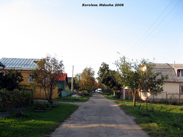 поселок Боголюбово Садовая улица в Суздальском районе Владимирской области фото vgv