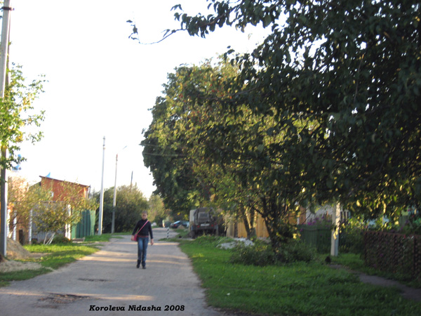 поселок Боголюбово Садовая улица в Суздальском районе Владимирской области фото vgv