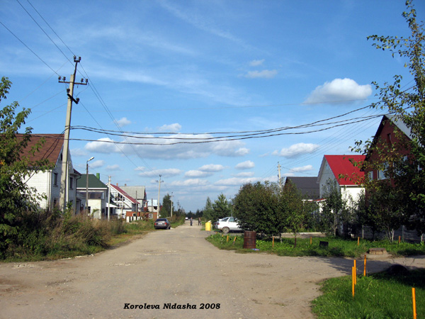 поселок Боголюбово Солнечная улица в Суздальском районе Владимирской области фото vgv