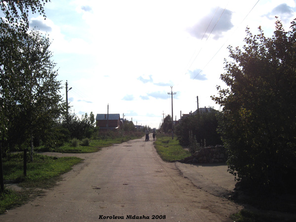 поселок Боголюбово Солнечная улица в Суздальском районе Владимирской области фото vgv