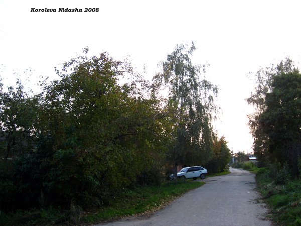 поселок Боголюбово Восточная улица в Суздальском районе Владимирской области фото vgv