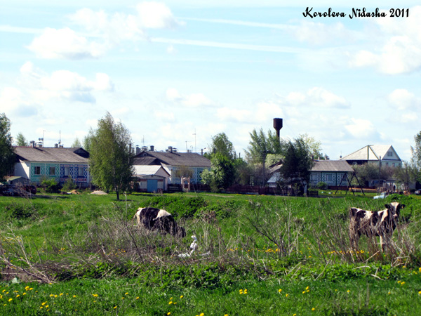 Бычки в Суздальском районе Владимирской области фото vgv