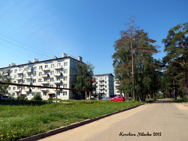 Сокол поселок в Суздальском районе Владимирской области фото vgv