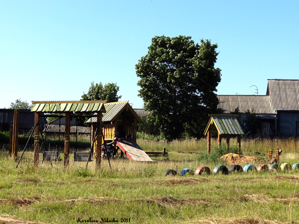 Большое Борисово село в Суздальском районе Владимирской области фото vgv