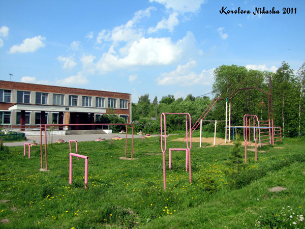 Школьная спортивная площадка в селе Старый Двор в Суздальском районе Владимирской области фото vgv
