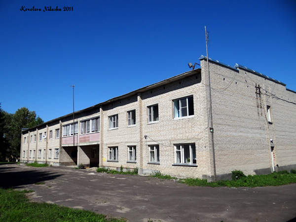 МУЗ Торчинская амбулатория в Суздальском районе Владимирской области фото vgv
