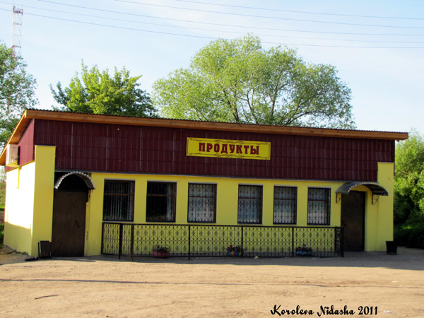Магазин Продукты в Туртино в Суздальском районе Владимирской области фото vgv