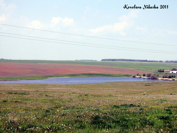 Озеро в с. Хотенское в Суздальском районе Владимирской области фото vgv