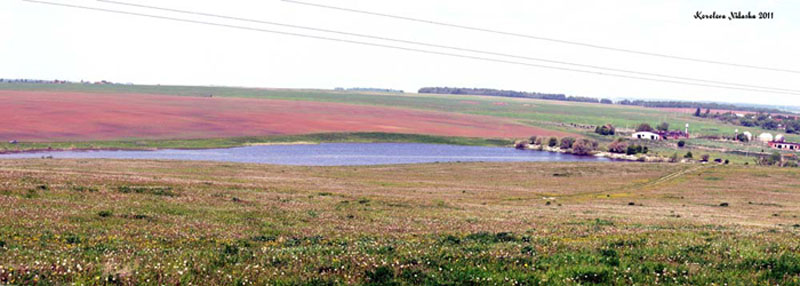 Озеро в с. Хотенское в Суздальском районе Владимирской области фото vgv