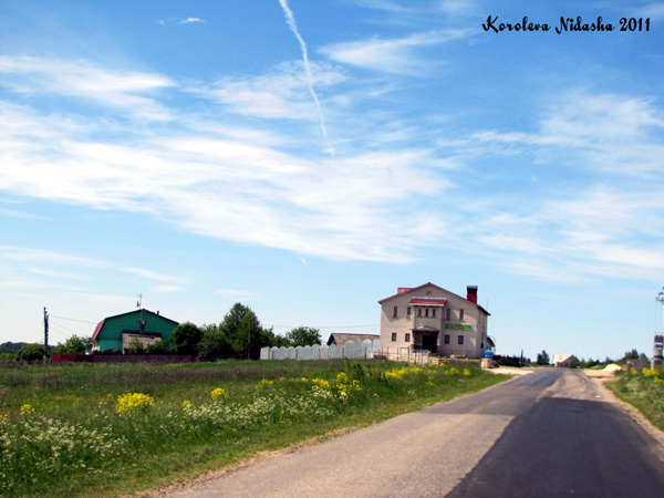 Зелени деревня в Суздальском районе Владимирской области фото vgv