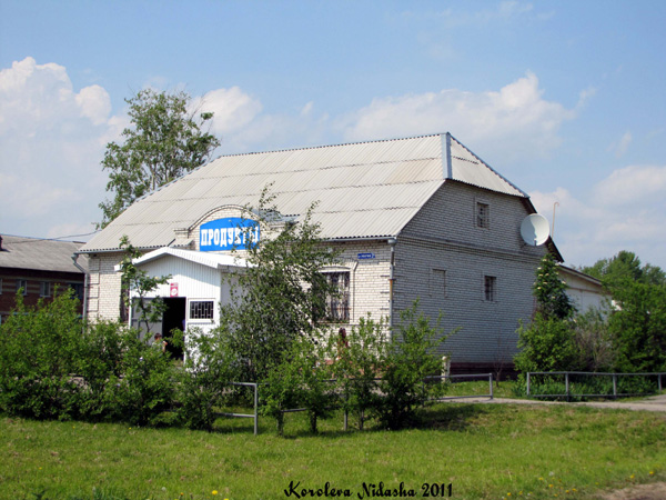 магазин Товары повседневного спроса в Новоалександрово в Суздальском районе Владимирской области фото vgv