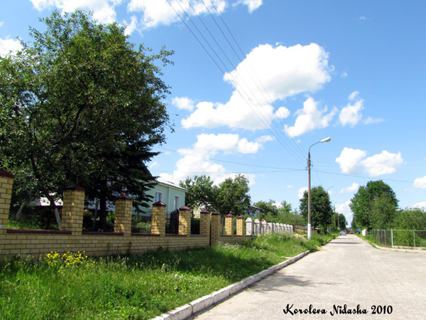 Новое село Бригантина в Суздальском районе Владимирской области фото vgv