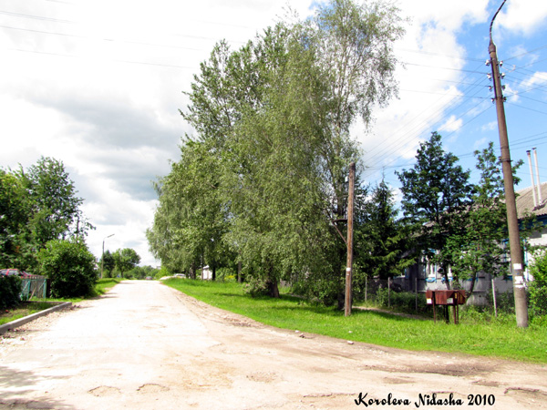 Новое село Мира в Суздальском районе Владимирской области фото vgv