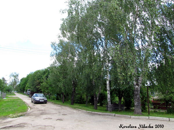 Новое село Восточная в Суздальском районе Владимирской области фото vgv