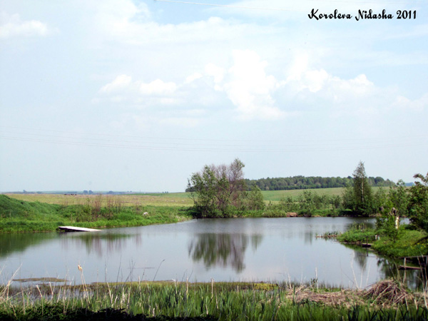 пруд в д. Подберезье в Суздальском районе Владимирской области фото vgv