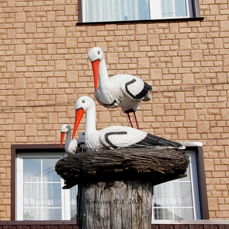 Лебеди у дома 9 на 1-й Кольцевой во Владимире фото vgv