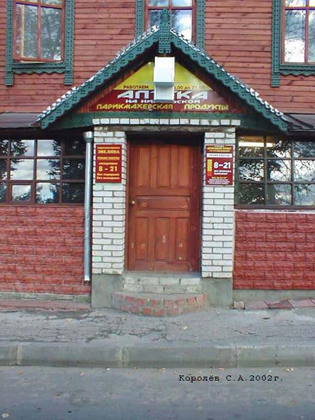 Аптечный пункт ЧП Воробьев В.Б. на 1-й Никольской 17 во Владимире фото vgv