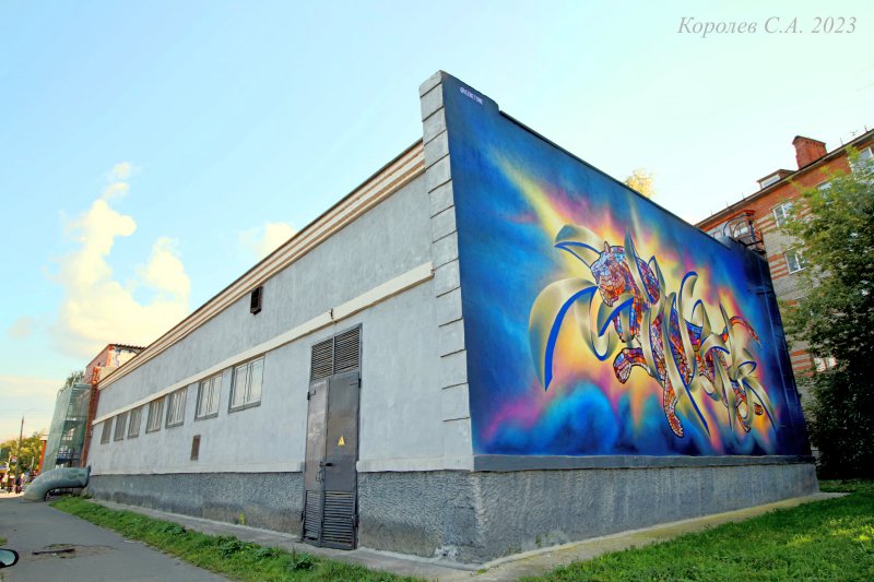 граффити «Солнечный лев» на 1-й Пионерской 24 во Владимире фото vgv
