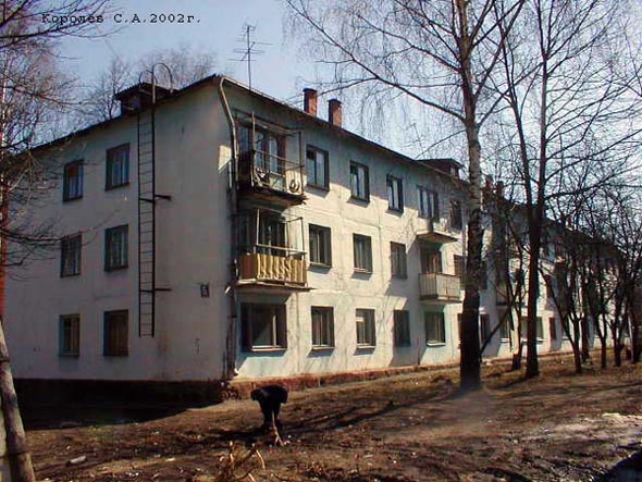 улица 1-я Пионерская 65 во Владимире фото vgv
