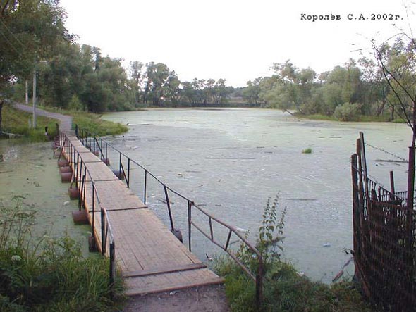 пешеходный мостик через Сельцовский пруд во Владимире фото vgv