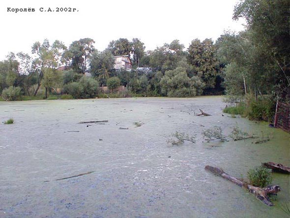 Сельцовский пруд во Владимире фото vgv