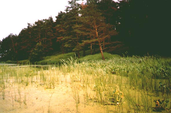 водохранилище Содышка южнее дамбы Семязинского пруда на 7-й Линии во Владимире фото vgv
