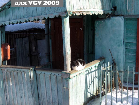 Кот греется на крылечке под зимним солнышком во Владимире фото vgv