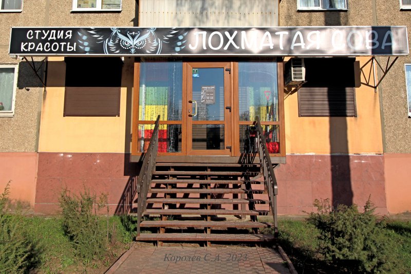 салон красоты «Лохматая сова» на Балакирева 47 во Владимире фото vgv
